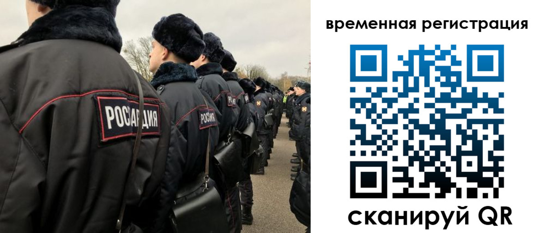 прописка гарантия в Вязьме